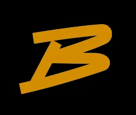 BASAAR logo