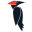 WOODPECKER SYSTEMS OÜ logo